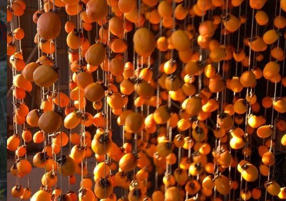 冬のお野菜ラインナップ！年末特別セットもあります♪