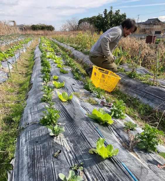 ゆっくり整える2026年。まずはやり残した冬仕事から -1月の農事-