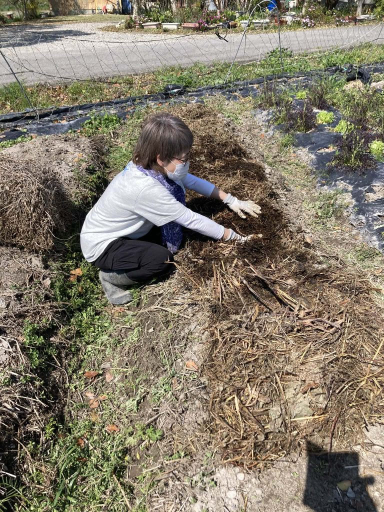どんどこどんどん除草➡どんどん定植のお祭り開催！！　-4月の農事-