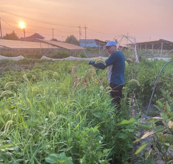 酷暑を生き抜くには、とにかくサボる！！！　太陽を避けて生きる夏　-8月の農事-